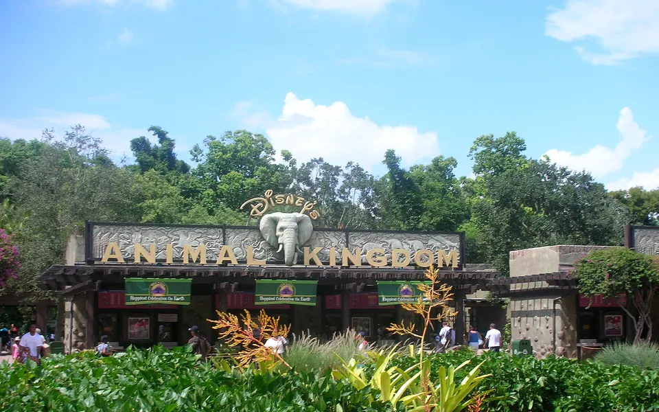 Animal Kingdom - Open, 8:00am–6:00pm